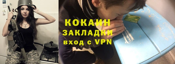 молекула духа Вяземский